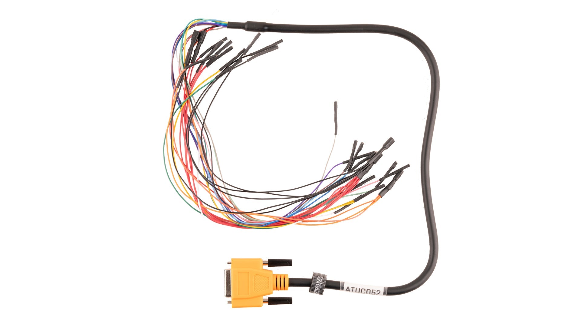 Bench Harness: Universal (Orange)