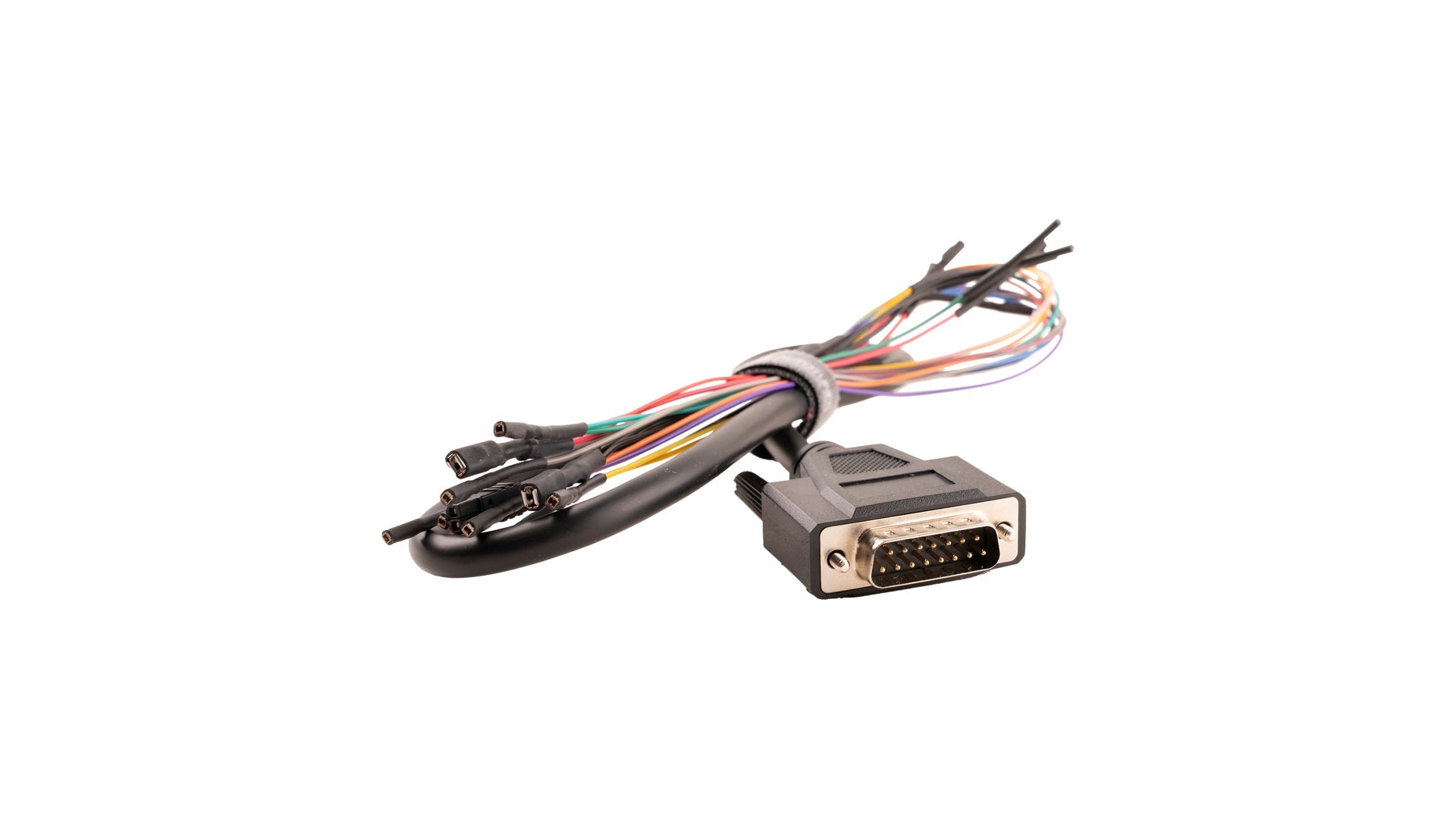 Bench and Boot Harness: Universal (Black)