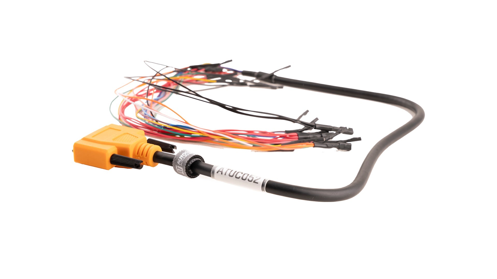 Bench Harness: Universal (Orange)