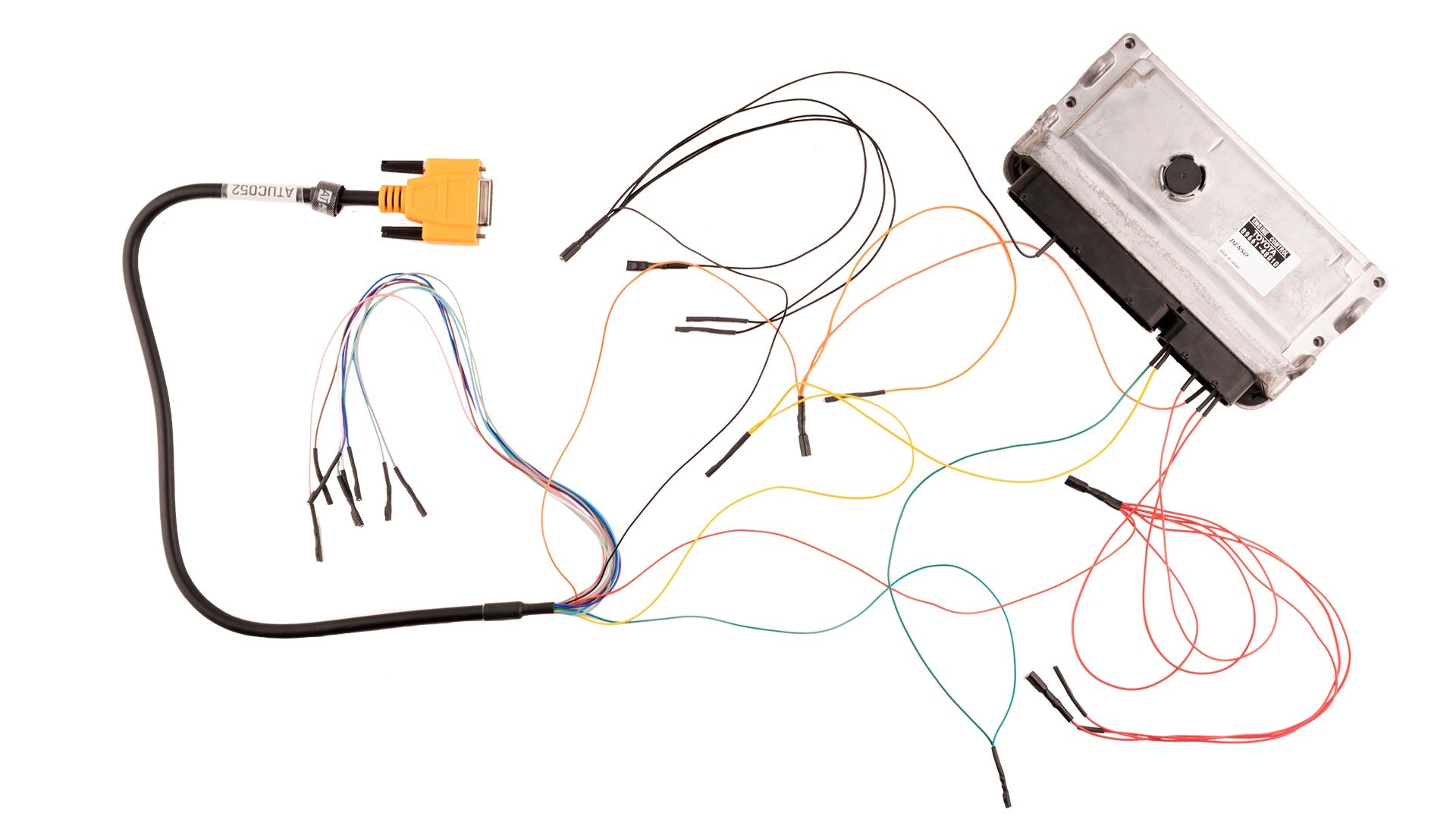 Bench Harness: Universal (Orange)