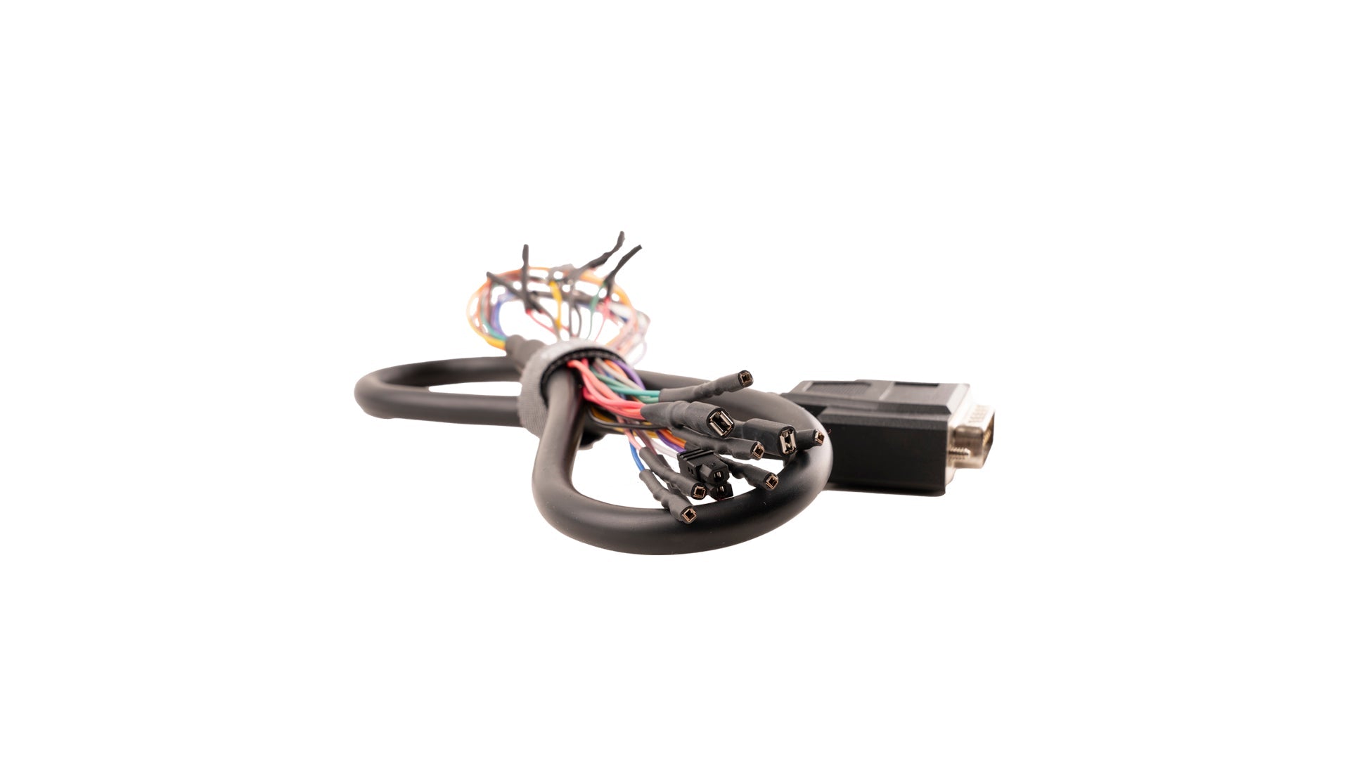 Bench and Boot Harness: Universal (Black)